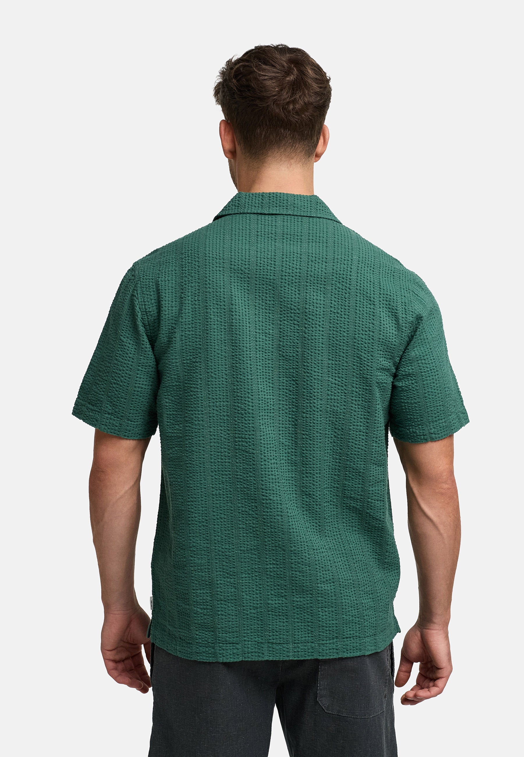 #farbe_smoke-pine