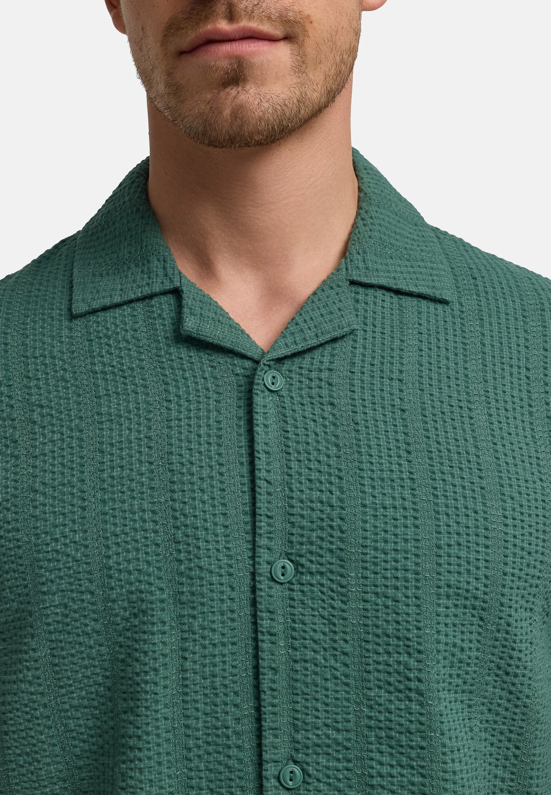 #farbe_smoke-pine
